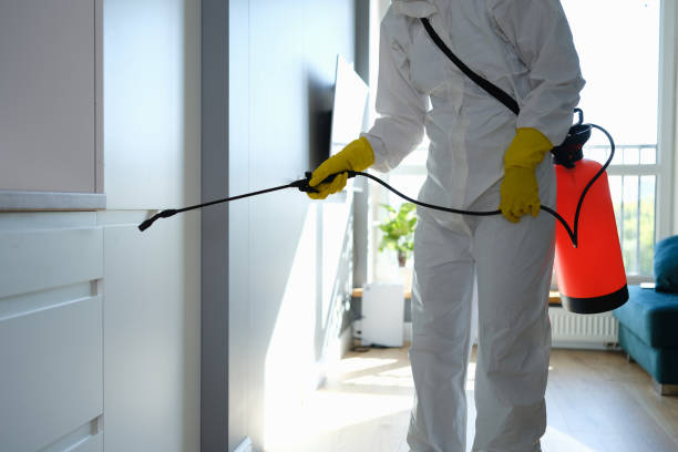 Best Residential Mold Removal  in Texanna, OK