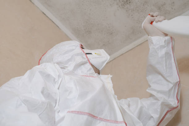 Best Affordable Mold Removal  in Texanna, OK