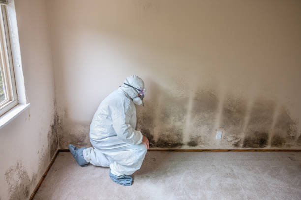 Best Crawl Space Mold Removal  in Texanna, OK